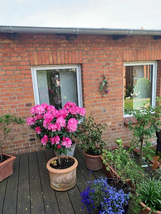 Appartement de vacances pour 2 personnes, avec jardin - 1