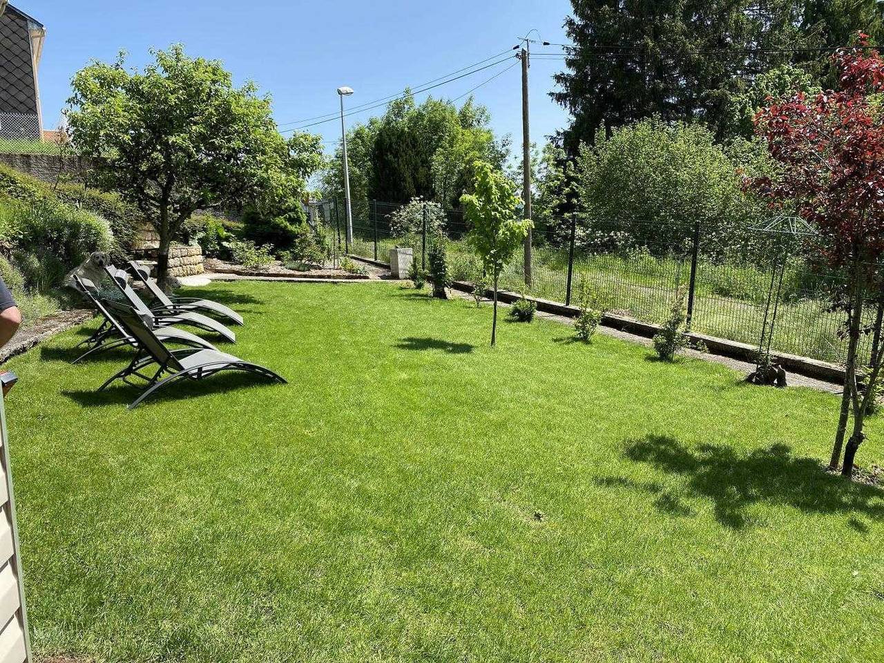 Chez Albert in Murat-le-Quaire, Regionaler Naturpark Volcans d'Auvergne