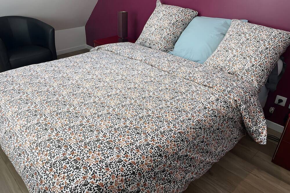 Gîte \"Le Grand Sapin\" – Peaceful Family Retreat near Beauval Zoo and Loire Castles in Saint-Aignan, Romorantin-Lanthenay region