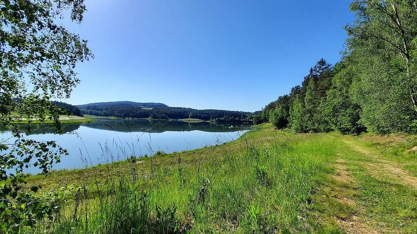Ferienwohnung für 4 Personen, mit Haustier in Naturpark Oberpfälzer Wald - 4
