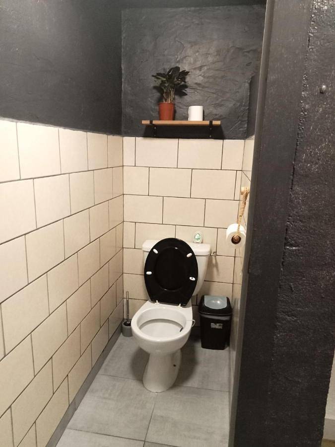 Gîte pour 6 personnes, avec vue ainsi que terrasse et jardin à Plouray - 3