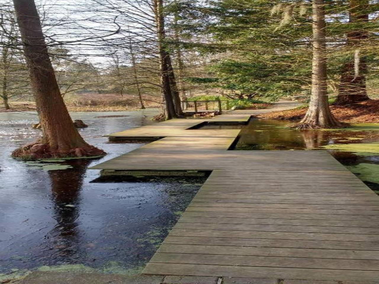 Appartement mit drei Schlafzimmern in Mitte Bochum, Bochum