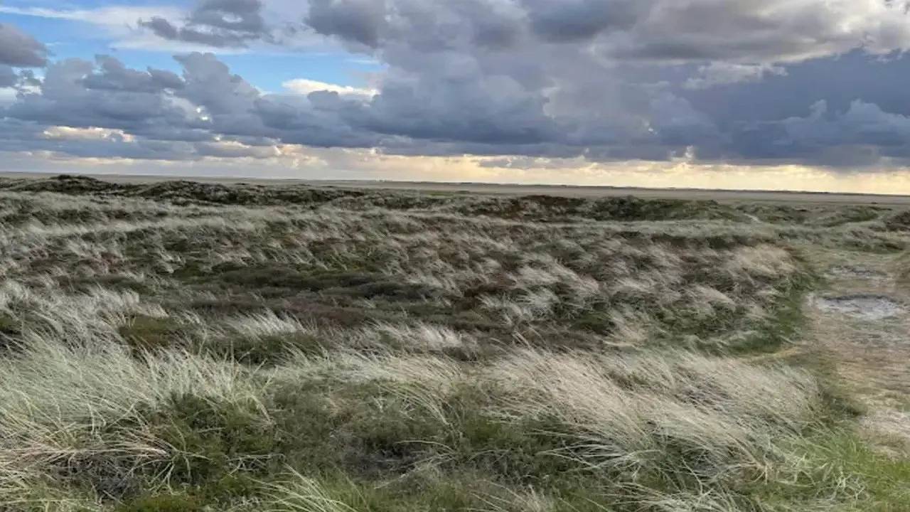 Ferienhaus für 10 Personen (148 m²) in Rømø in Sønderstrand, Havneby