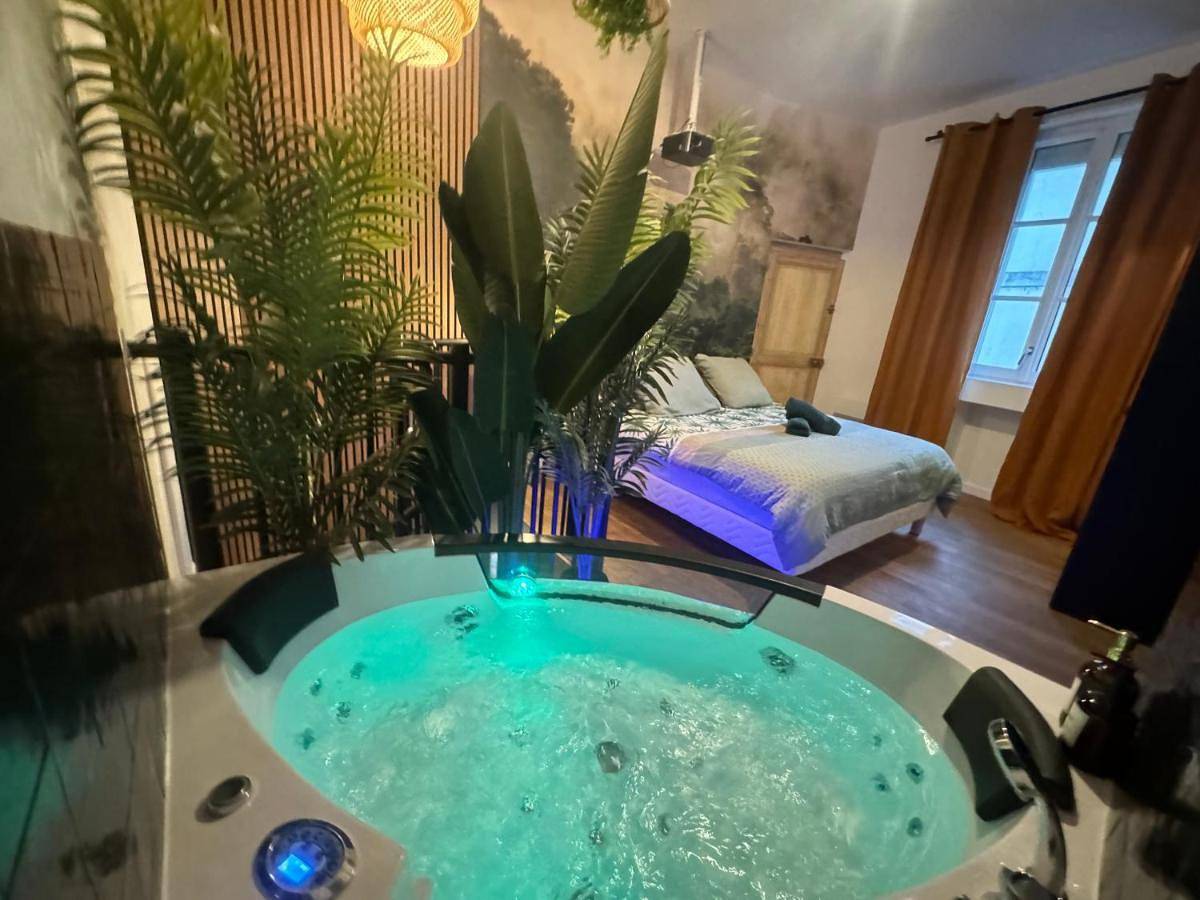 Ganze Wohnung, L'Oasis Angevine - Clim, Balneo, Sauna, Home Cinema & Parking in Angers, Angers und Umgebung
