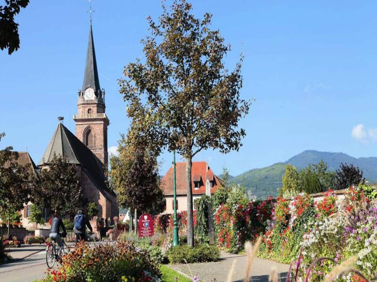 Entire apartment, 2 Room Apartment 4 People in Bergheim (Alsace), Parc naturel régional des Ballons des Vosges