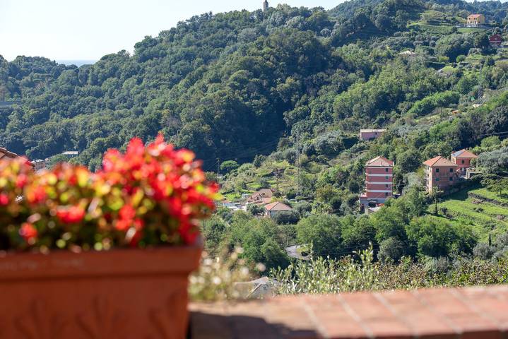 Ferienwohnung für 6 Personen, mit Haustier in Genua - 4