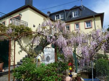 Pension für 6 Personen in Mülheim, Moseleifel, Bild 2