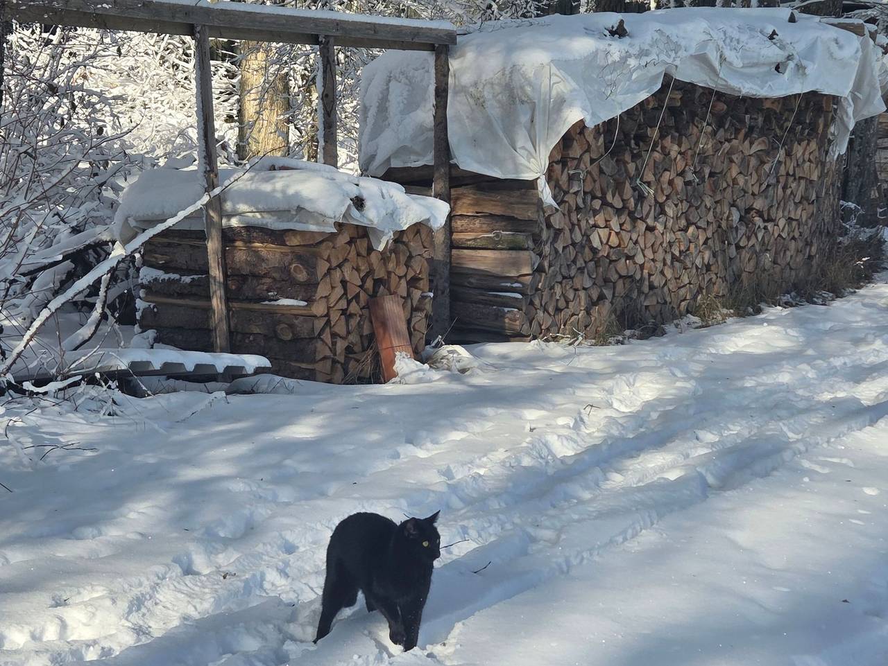 Genusshof Pingold - Spatzennest in Gräfenberg, Frankenalb