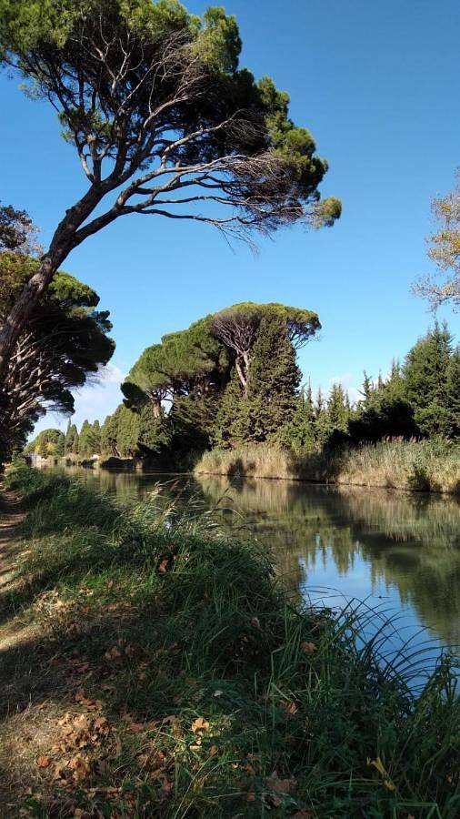 Appartement entier, Double Room in Sallèles-d'Aude, Côte méditerranéenne (France)