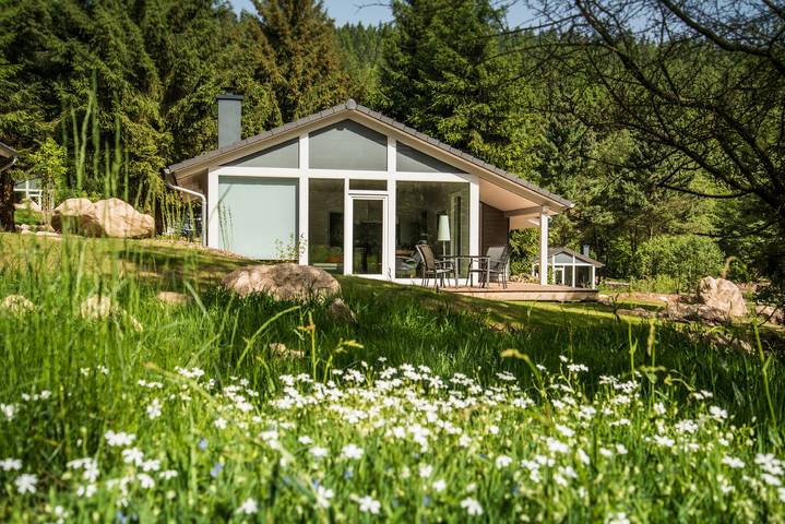 Ferienhaus für 5 Personen, mit Balkon und Terrasse sowie Garten und Pool in Thüringen - 2