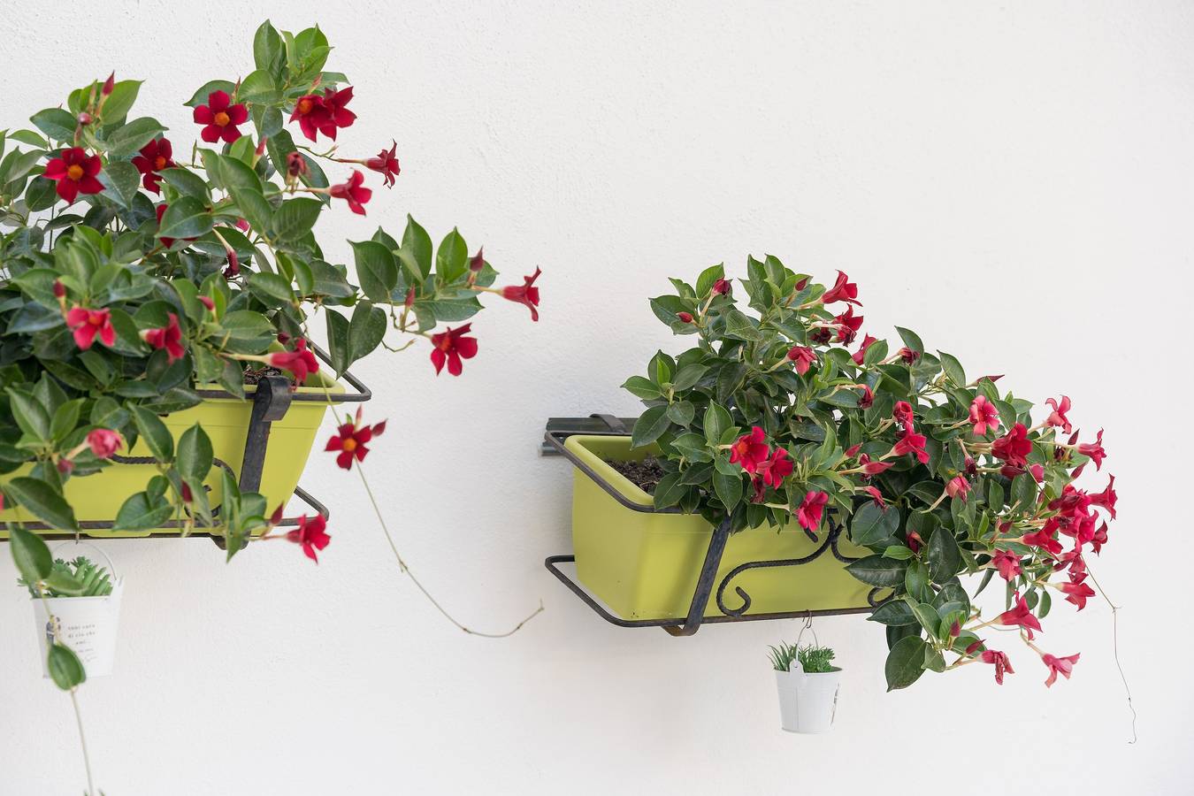 Ganze Wohnung, Ferienwohnung "Komfortables und kühles Souterrain" mit privater Terrasse, Garten und Wlan in Siniscola, Nuoro Provinz