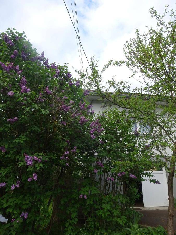 Location de vacances pour 7 personnes, avec Balcon ainsi que Terrasse et Jardin à Baume-les-Dames - 2