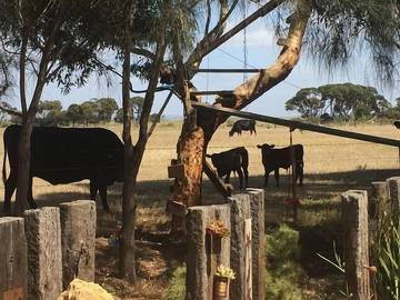 Holiday Home for 6 People in Barwon Heads, Bellarine, Photo 1