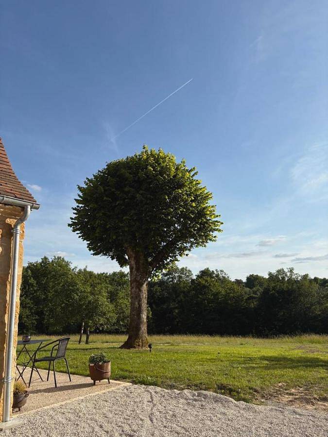 Location de vacances pour 10 personnes, avec vue et jardin à La Chapelle-Aubareil - 4