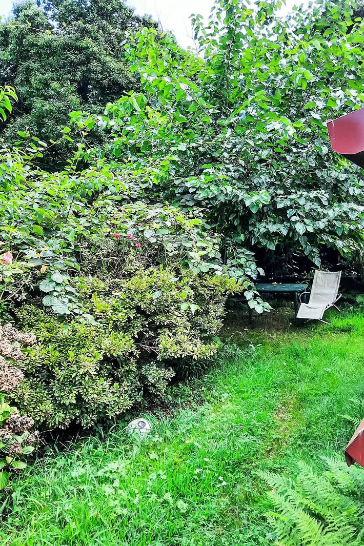 Villa pour 4 personnes, avec piscine et jardin - 1