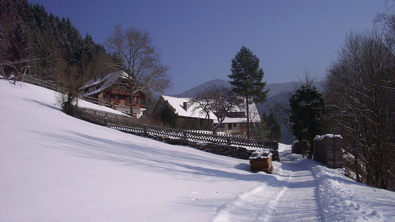 Ganze Ferienwohnung, Ferienwohnung für 4 Personen (50 m²) in Bad Rippoldsau-Schapbach in Bad Rippoldsau-Schapbach, Mittlerer Schwarzwald