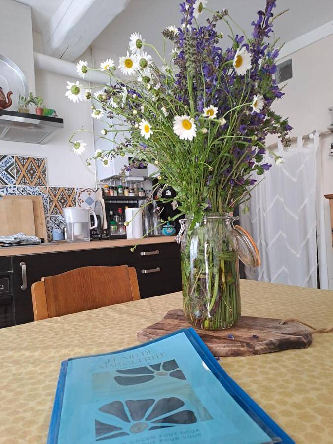 Two-Bedroom House in Castelnaudary, Canal du Midi
