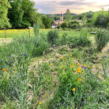 Gîte pour 7 personnes, avec jardin et terrasse, animaux acceptés à Lacropte