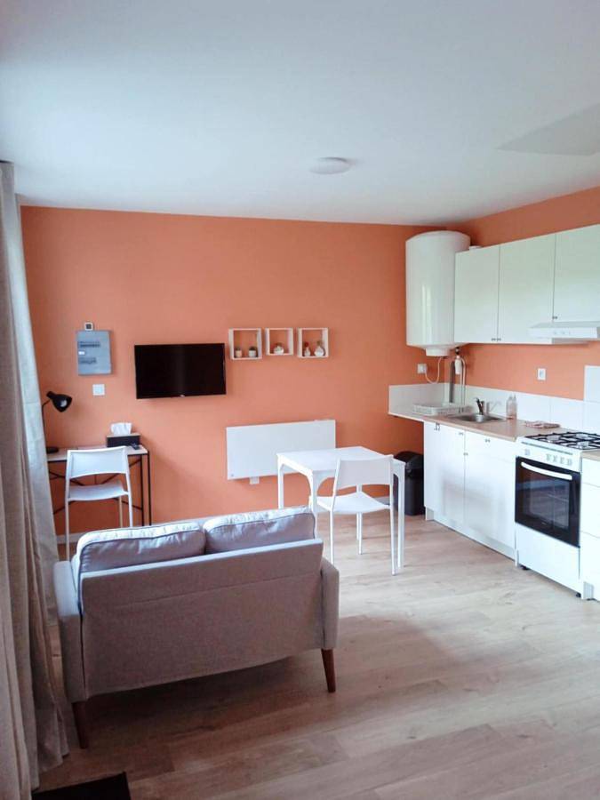 Double Room with Terrace in Oyonnax, Nantua