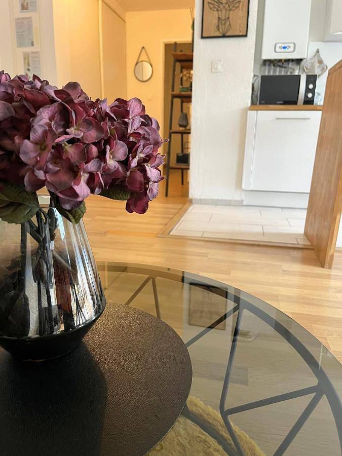 Gîte pour 4 personnes, avec balcon à Longwy - 3