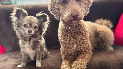 Ferienhaus für 3 Personen in Tanna, Ostthüringen, Bild 1