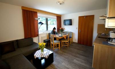 Vakantiewoning voor 3 Personen in Lechtal Alps, Lermoos, Afbeelding 3