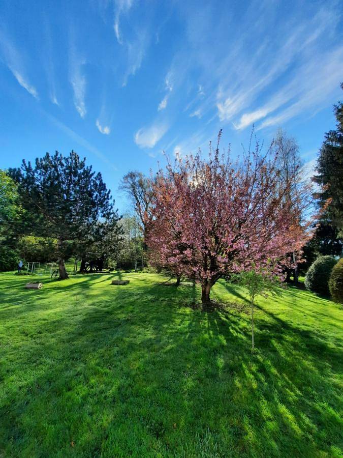 Chambre d’hôte pour 2 personnes, avec jardin et vue dans Parc naturel régional des Ardennes - 4