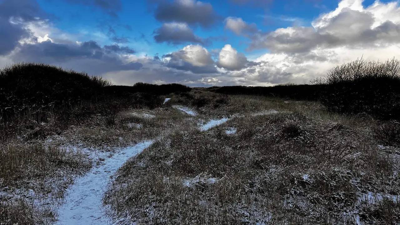 Ferienhaus für 5 Personen (135 m²) in Skagen in Skagen, Tannisbucht
