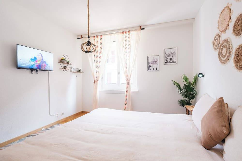 Entire apartment, City central comfort in Lausanne, Lake Geneva