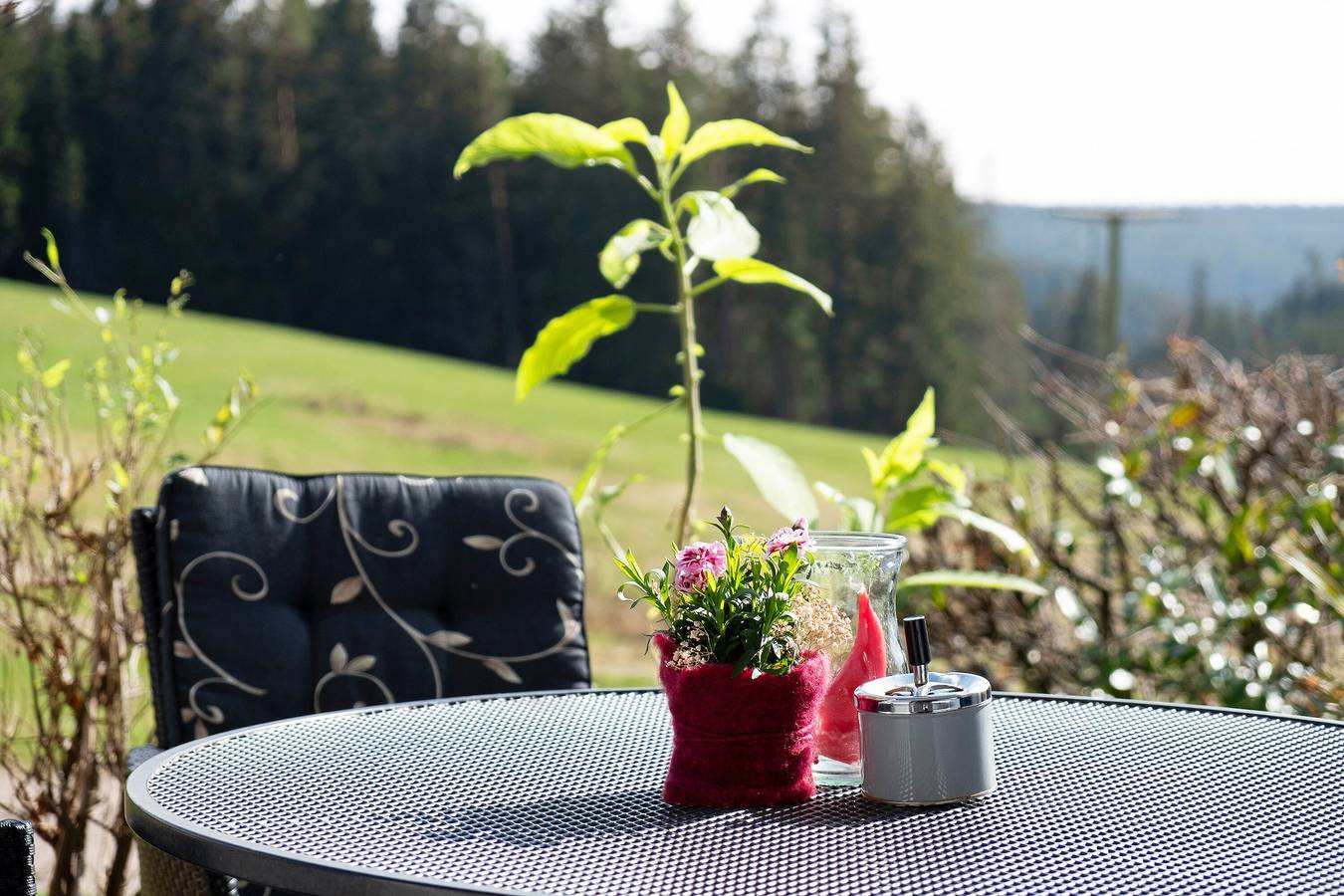 Ganze Wohnung, Ferienwohnung 'Janßen-Wehrle' mit Bergblick, privater Terrasse und Wi-Fi in Schwärzenbach (Titisee-Neustadt), Titisee-Neustadt