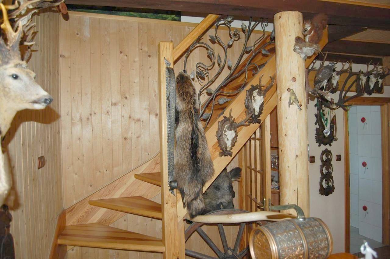 Domek myśliwski in Powiat olsztyński