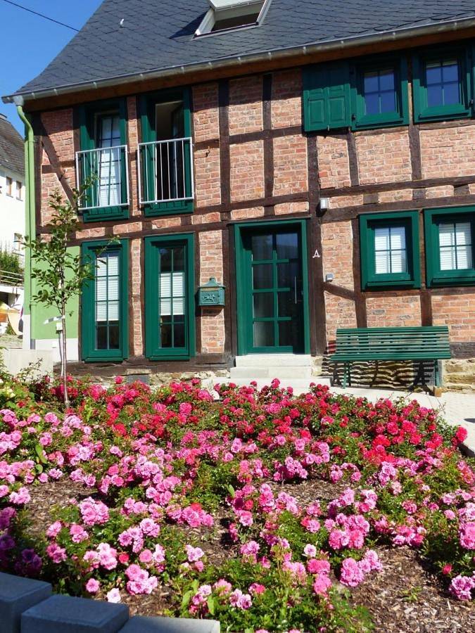 Ferienwohnung für 4 Personen, mit Ausblick und Garten, mit Haustier in Boppard - 3