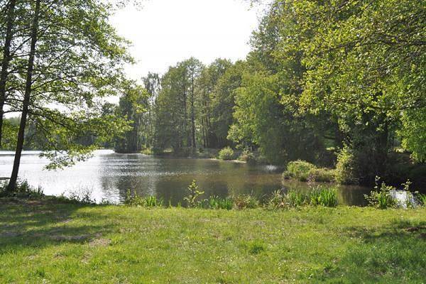 Ganze Ferienwohnung, Nette Wohnung in Metel mit Garten, Grill und Terrasse in Neustadt am Rübenberge, Hannover und Umgebung