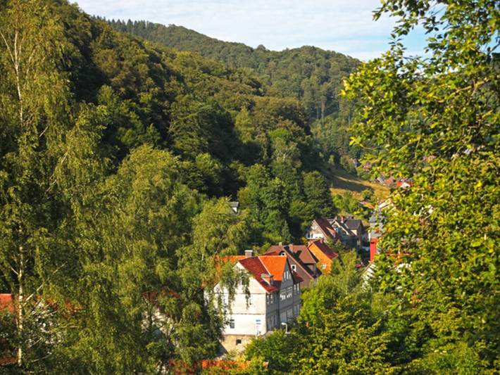 Ferienwohnung für 4 Personen, mit Garten und Ausblick in Osterode
