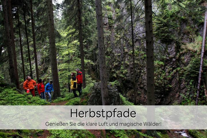 Ganze Ferienwohnung, Ferienwohnung Deluxe in Oberhof, Rennsteig
