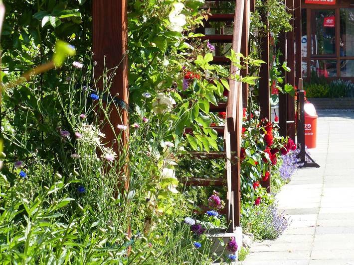 Ferienwohnung für 5 Personen, mit Garten, kinderfreundlich in der Geltinger Birk - 4