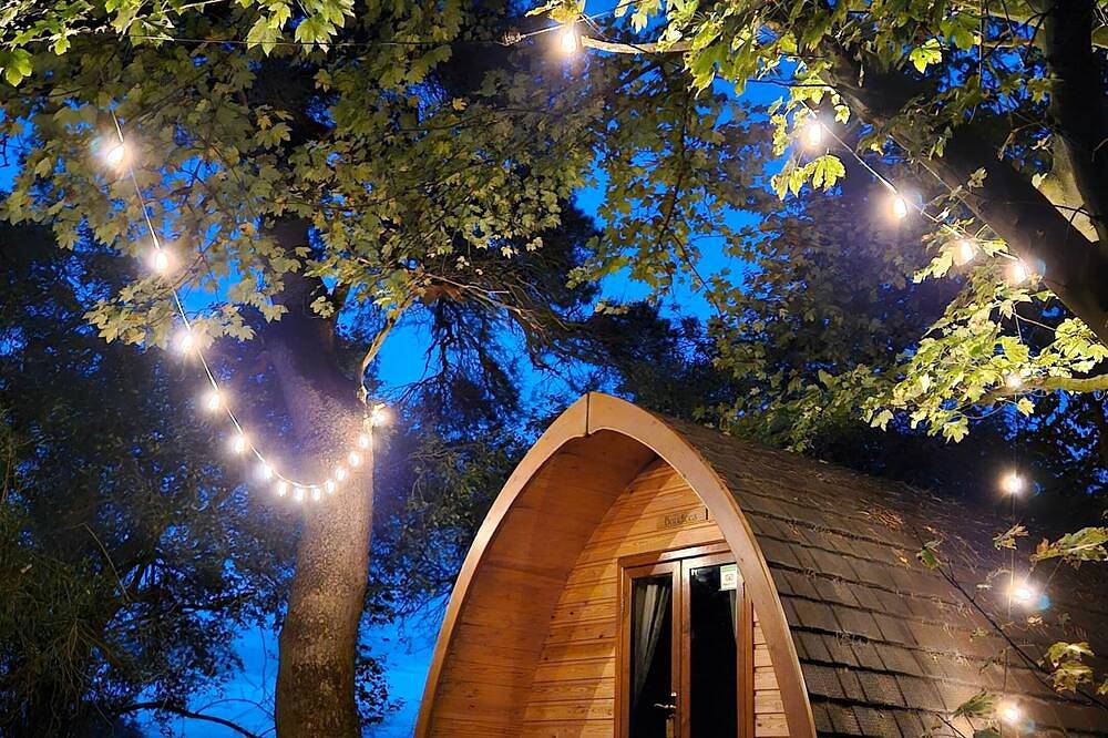 Boudicca Pod in Elveden Forest, Thetford Forest Park
