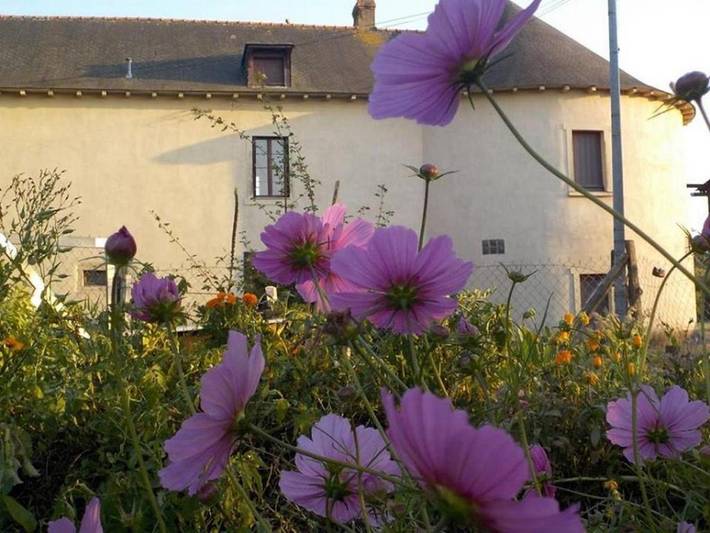 Gîte pour 4 personnes, avec terrasse à Chavagne - 2