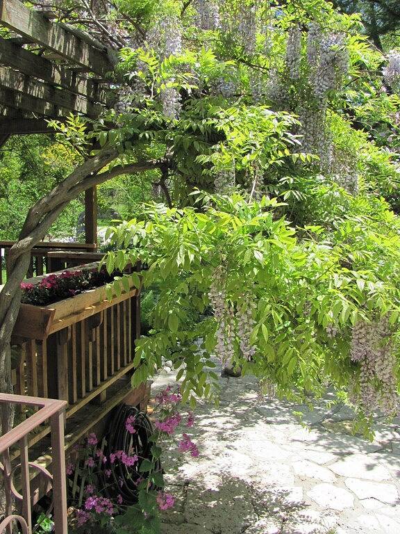 Adorable Cottage New Buffalo, Mi.Nr. In der Nähe von Grand Beach. 1 Schlafzimmer, Schlafmöglichkeiten für 5 in Berrien County