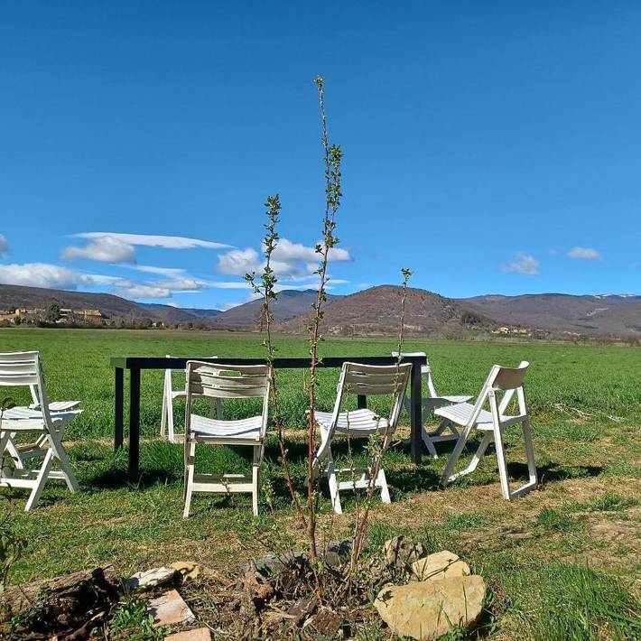 Location de vacances pour 14 personnes, avec Terrasse ainsi que Jardin et Vue à Ongles