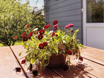 Ferienhaus für 6 Personen in Hou, Nordostjütland, Bild 2