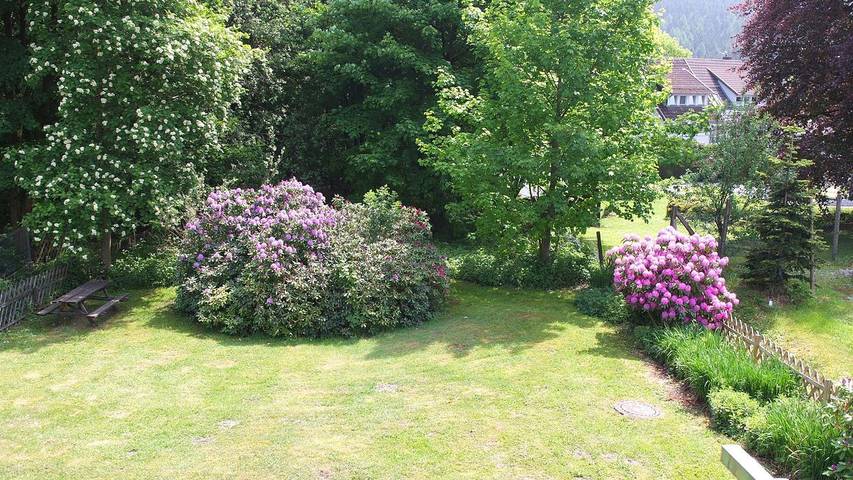 Ferienhaus für 5 Personen, mit Garten im Harz - 2