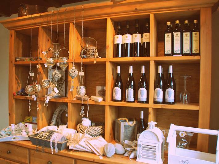 Ferienhaus für 6 Personen, mit Garten und Terrasse sowie Sauna am Ijsselmeer - 3