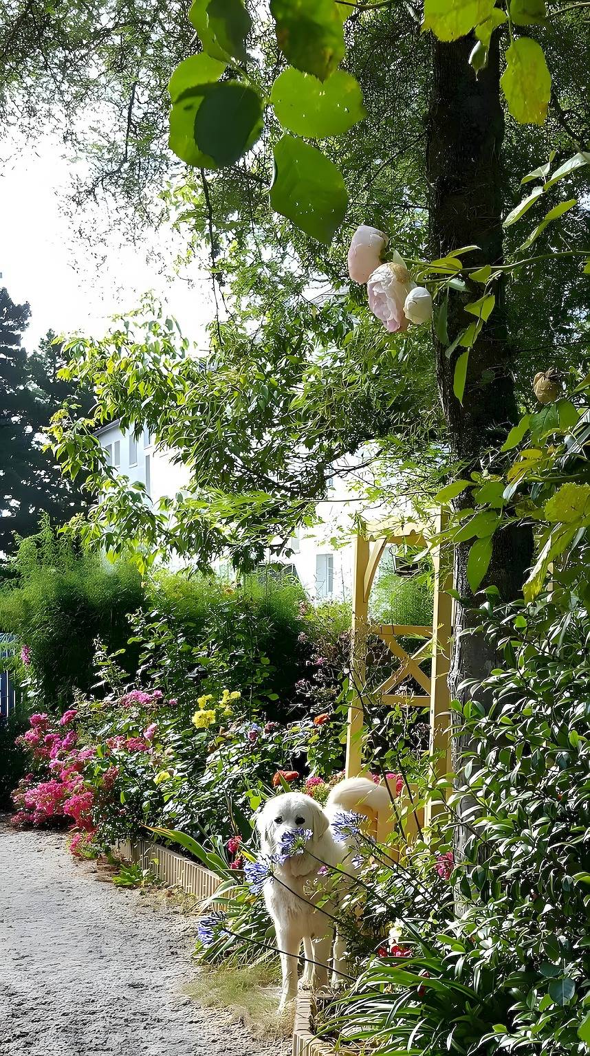 Chambre d'hôtes Verte Printanière - Étage avec terrasse et jardin partagés, Wi-Fi in Saint-Lyphard, Région de Saint-Nazaire