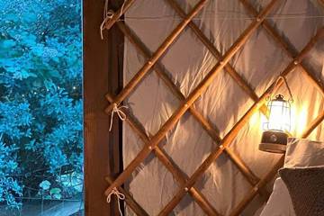 Camping for 4 People in Pembrokeshire, South-Wales, Photo 3