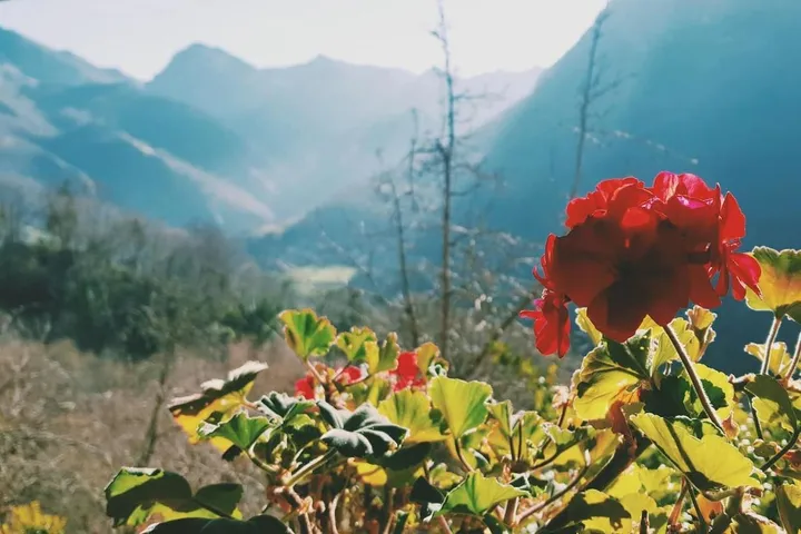 Casa de vacaciones para 3 personas, con vistas - 1