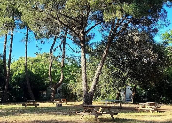 Camping für 4 Personen, mit Terrasse, mit Haustier auf der Ile de Re - 2