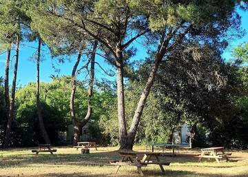 Camping pour 4 Personnes dans Rivedoux-Plage, Côte des Fleurs, Photo 1
