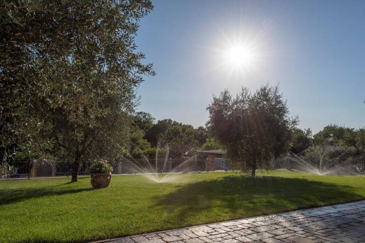 Chambre d’hôte pour 3 personnes, avec piscine et jardin, animaux acceptés à Zagarolo - 3