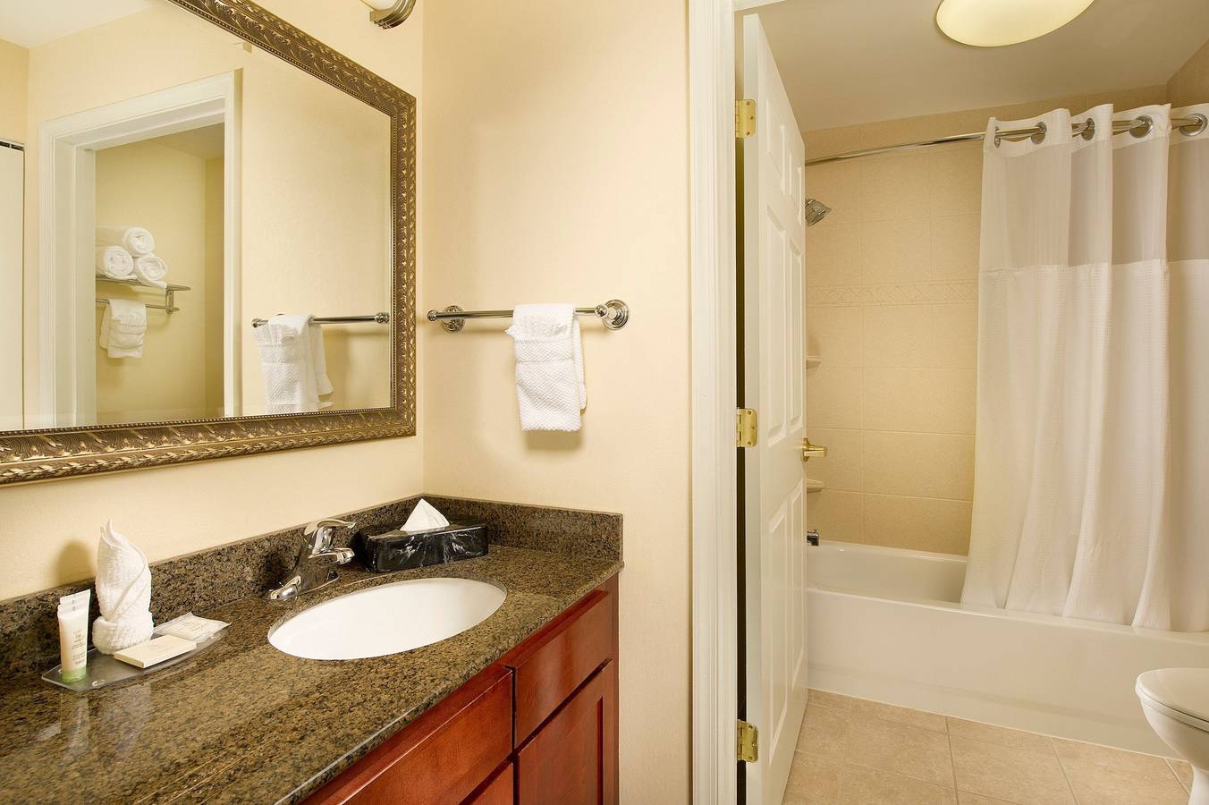 Entire studio, Staybridge Raleigh Arpt-Morrisville in Wake County